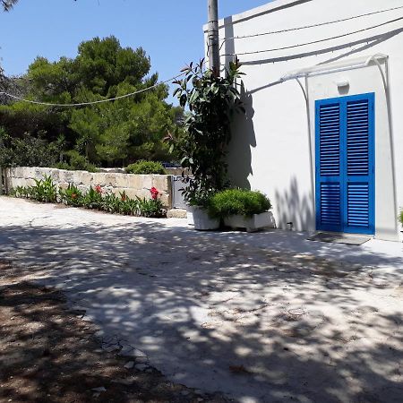 Villa Casa La Pineta Sant'Andrea  Exterior foto